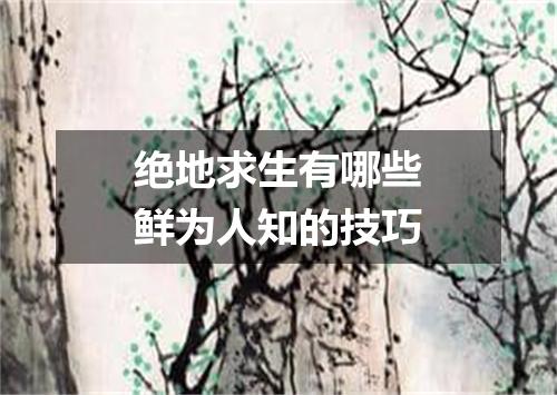 绝地求生有哪些鲜为人知的技巧