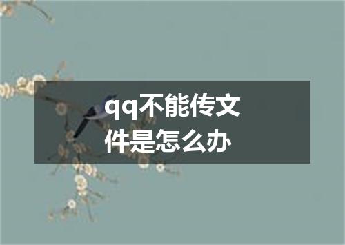 qq不能传文件是怎么办