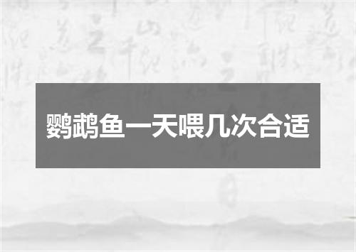 鹦鹉鱼一天喂几次合适
