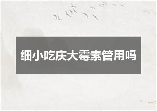 细小吃庆大霉素管用吗