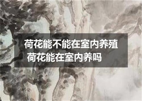 荷花能不能在室内养殖 荷花能在室内养吗