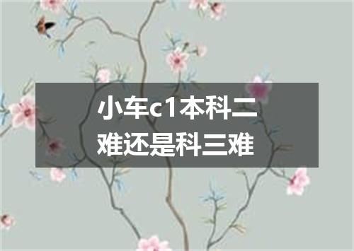 小车c1本科二难还是科三难
