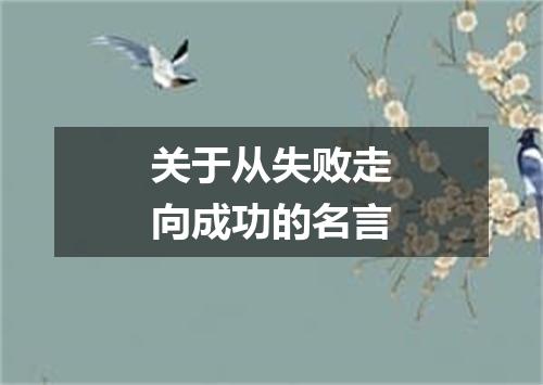 关于从失败走向成功的名言