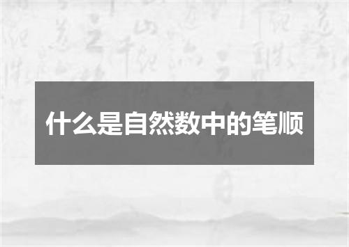 什么是自然数中的笔顺
