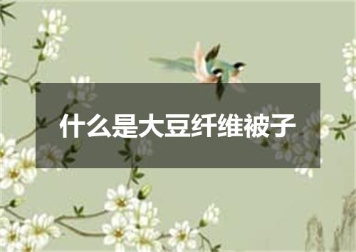 什么是大豆纤维被子