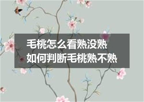 毛桃怎么看熟没熟 如何判断毛桃熟不熟