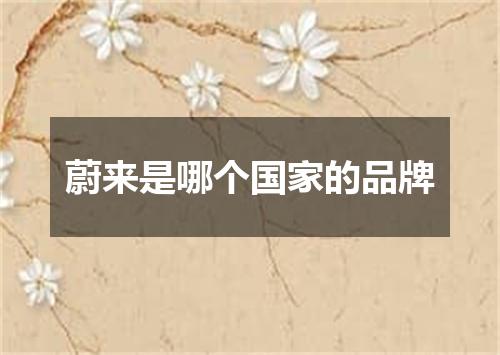 蔚来是哪个国家的品牌