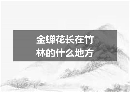 金蝉花长在竹林的什么地方