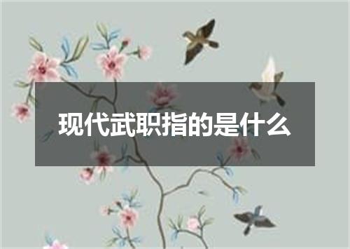 现代武职指的是什么