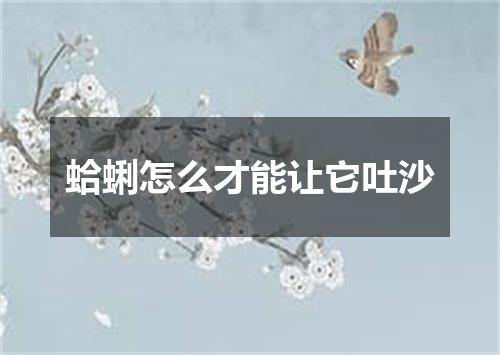 蛤蜊怎么才能让它吐沙