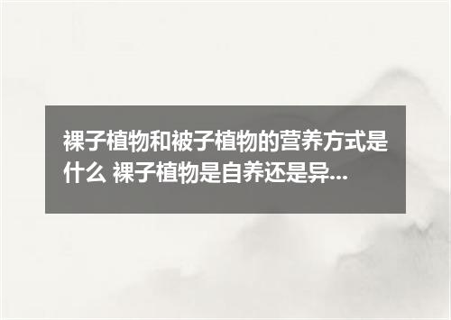 裸子植物和被子植物的营养方式是什么 裸子植物是自养还是异养
