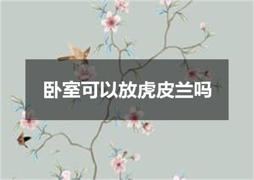 卧室可以放虎皮兰吗