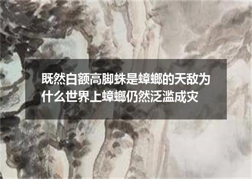 既然白额高脚蛛是蟑螂的天敌为什么世界上蟑螂仍然泛滥成灾