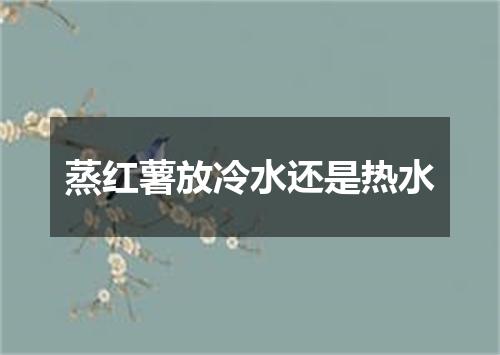 蒸红薯放冷水还是热水