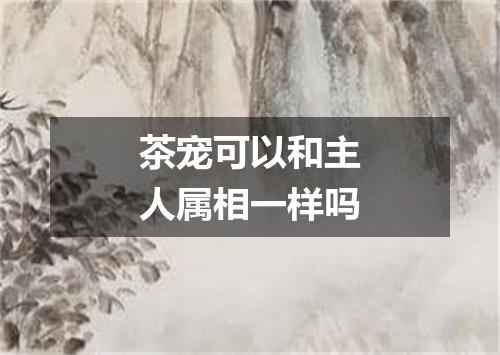 茶宠可以和主人属相一样吗