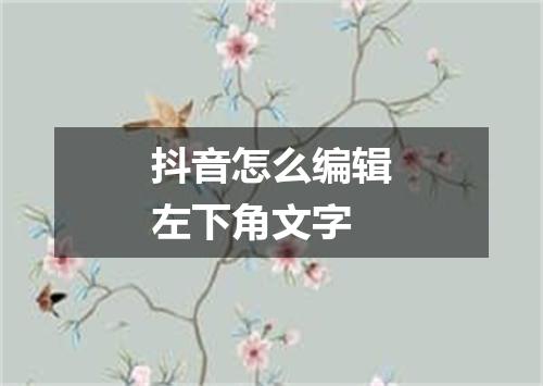 抖音怎么编辑左下角文字