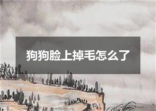 狗狗脸上掉毛怎么了