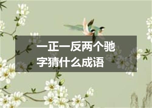 一正一反两个驰字猜什么成语