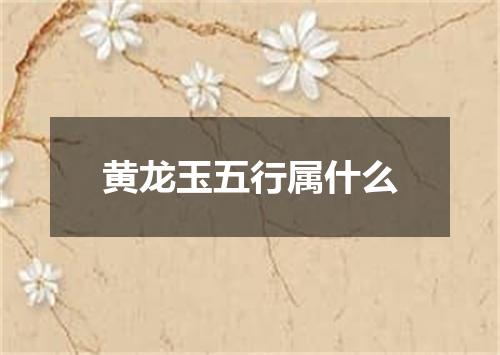黄龙玉五行属什么