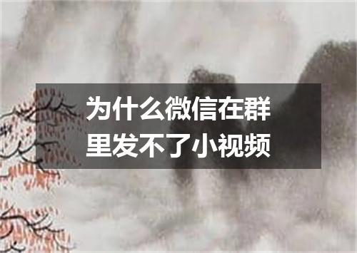 为什么微信在群里发不了小视频
