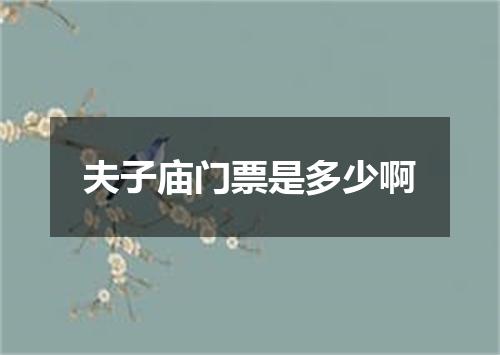 夫子庙门票是多少啊