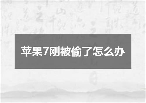 苹果7刚被偷了怎么办