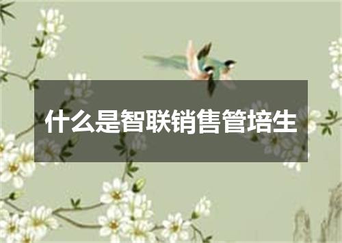 什么是智联销售管培生