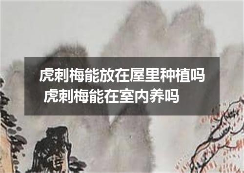 虎刺梅能放在屋里种植吗 虎刺梅能在室内养吗