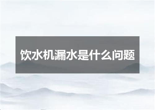 饮水机漏水是什么问题