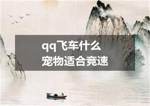 qq飞车什么宠物适合竞速