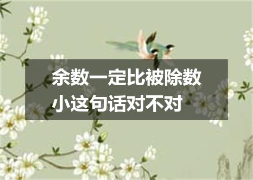 余数一定比被除数小这句话对不对