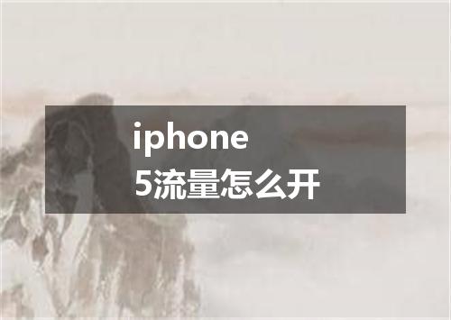 iphone5流量怎么开
