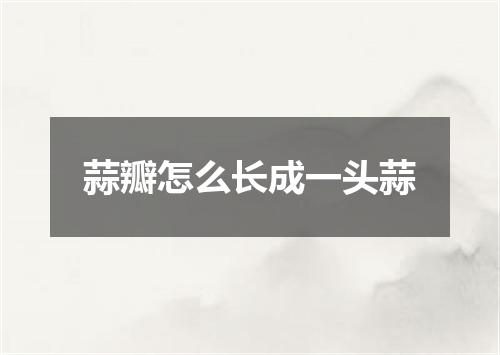 蒜瓣怎么长成一头蒜
