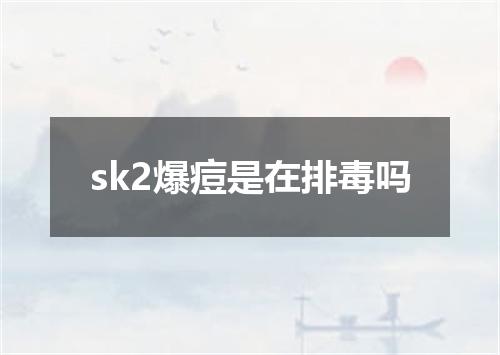 sk2爆痘是在排毒吗