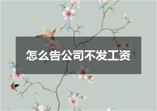 怎么告公司不发工资