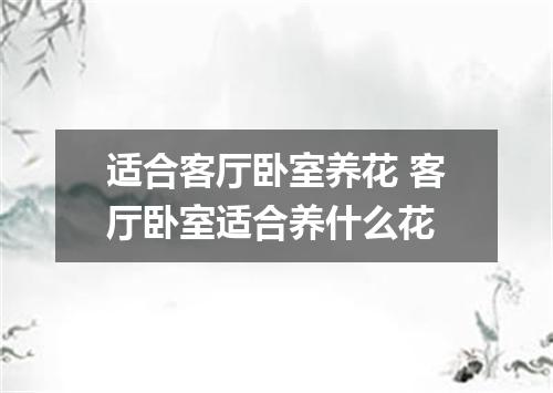 适合客厅卧室养花 客厅卧室适合养什么花