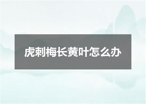 虎刺梅长黄叶怎么办
