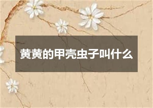 黄黄的甲壳虫子叫什么