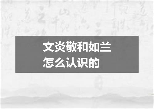 文炎敬和如兰怎么认识的