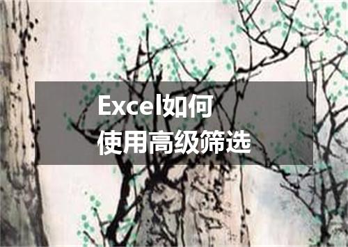 Excel如何使用高级筛选