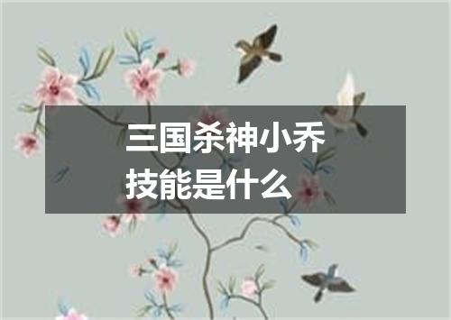 三国杀神小乔技能是什么