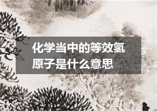 化学当中的等效氢原子是什么意思