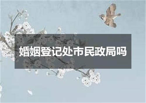 婚姻登记处市民政局吗