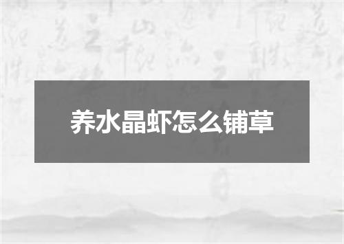 养水晶虾怎么铺草
