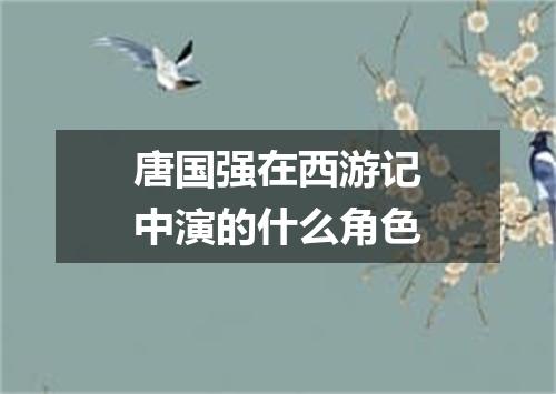 唐国强在西游记中演的什么角色