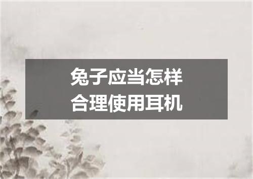 兔子应当怎样合理使用耳机