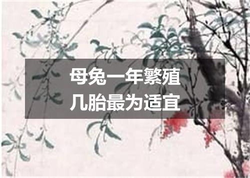 母兔一年繁殖几胎最为适宜