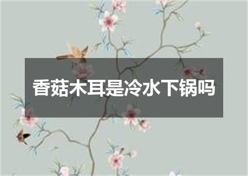 香菇木耳是冷水下锅吗