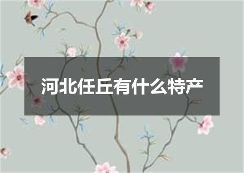 河北任丘有什么特产