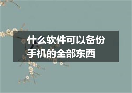 什么软件可以备份手机的全部东西